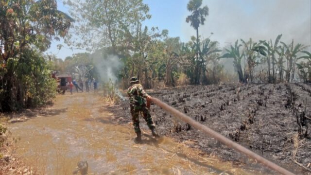 Kebakaran Lahan Tebu di Balangtanaya Takalar, Babinsa dan Damkar Bergerak Cepat Padamkan Api